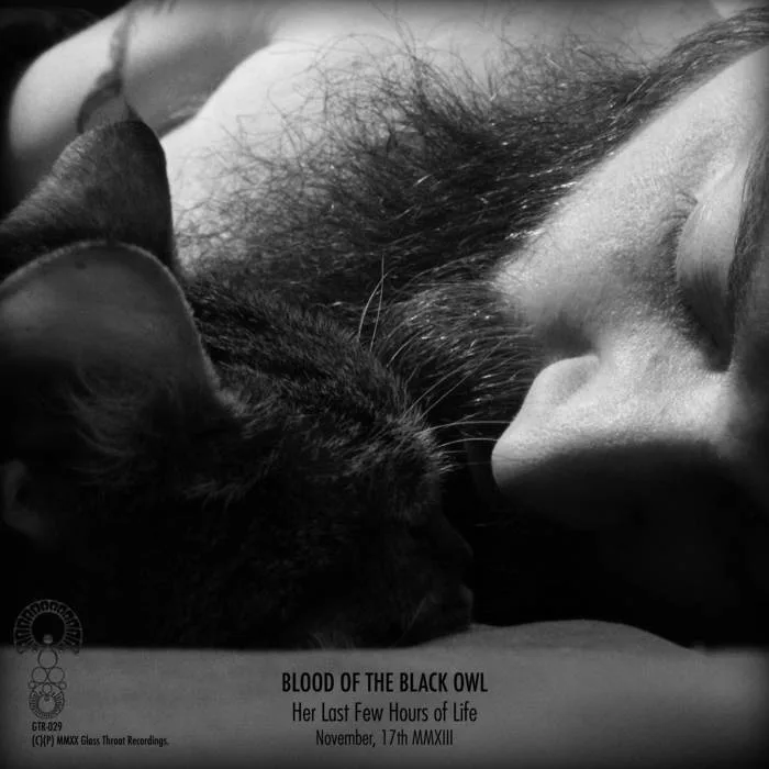 Her Last Few Hours of Life cover