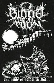 Remnants of Forgotten Past cover