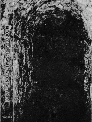 Swallowed in Emptyness cover