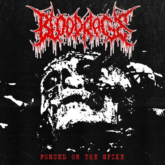 Forced on the Spike cover