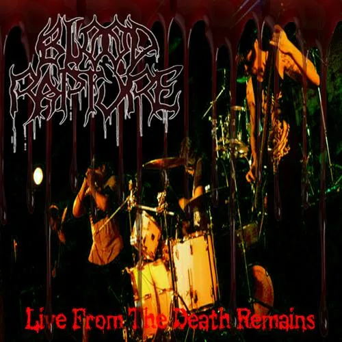 Live from the Death Remains cover