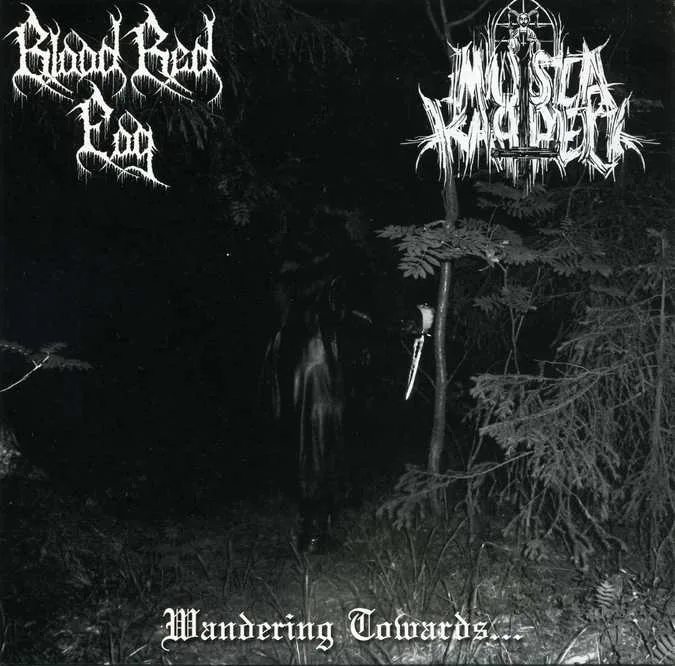 Wandering Towards... cover