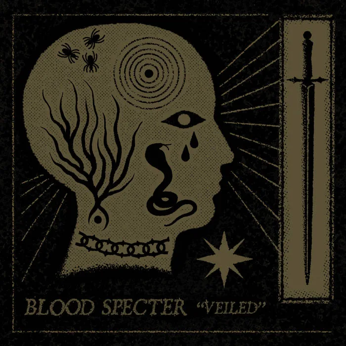 Veiled cover