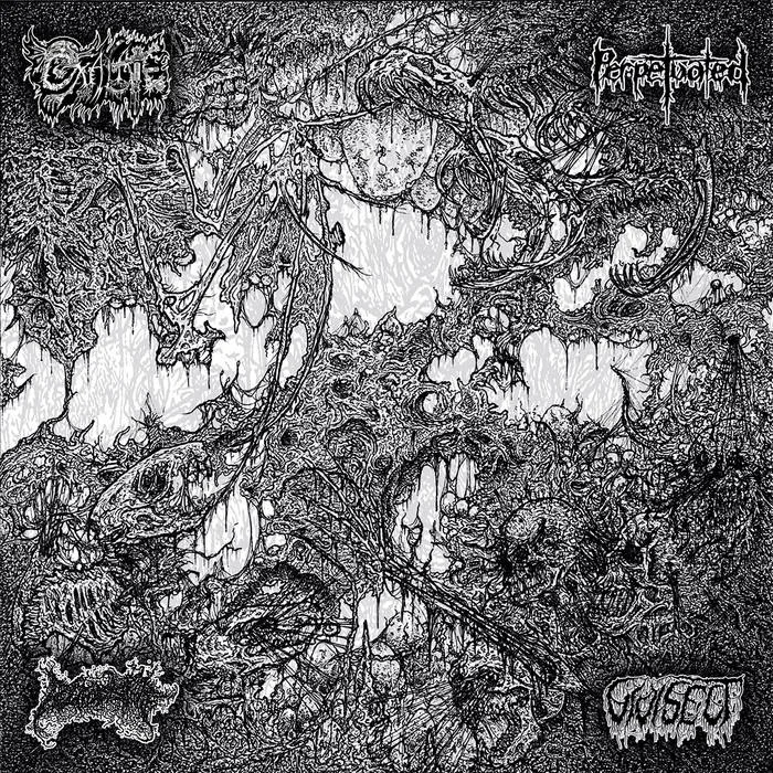 Oxalate / Perpetuated / Blood Spore / Vivisect cover