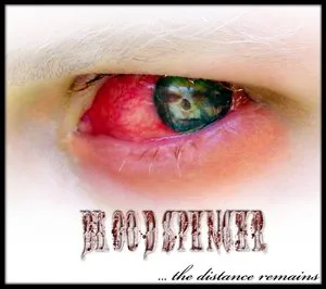 ... the Distance Remains cover