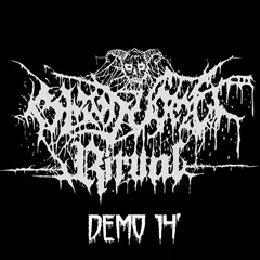 Demo 14' cover