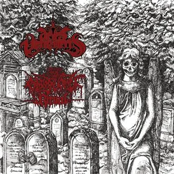 Aries Vehemens / Blood Vomit Ritual cover