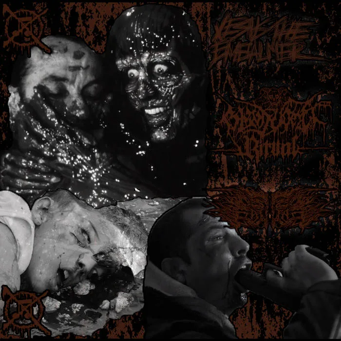 xBxVxRx/ Jesus the Embalmer/ Destined for Failure Three way Split cover