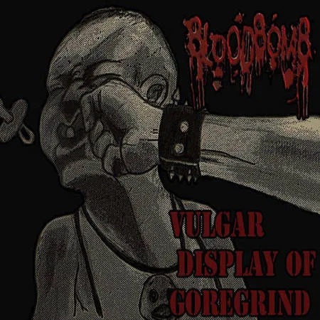 Vulgar Display of Goregrind cover