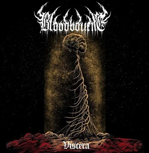 Viscera cover