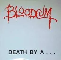 Death by a Clothes Hanger cover