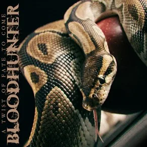 A Twist of Fate to Come cover