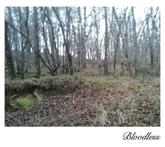 Bloodless cover