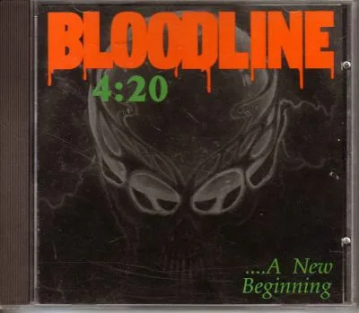...a New Beginning cover