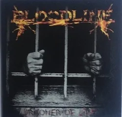 Prisoner of Life cover