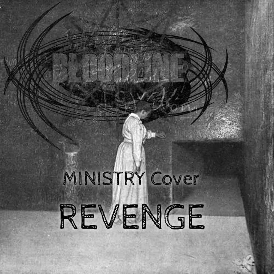 Revenge cover