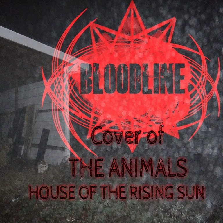 House of the Rising Sun cover
