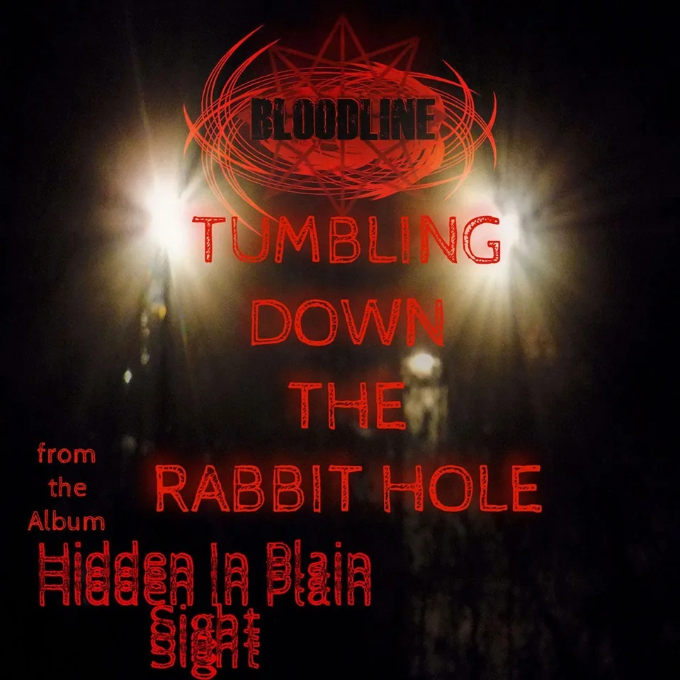 Tumbling Down the Rabbit Hole cover