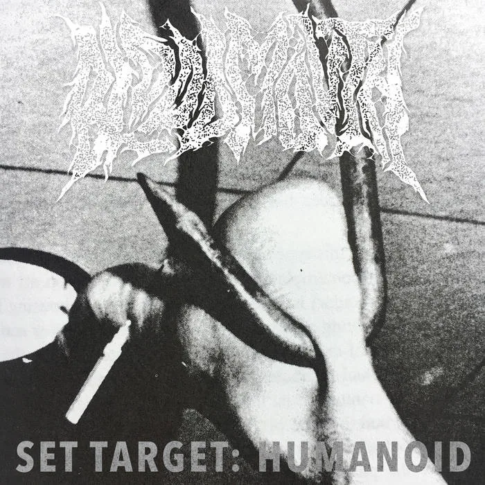 Set Target: Humanoid cover