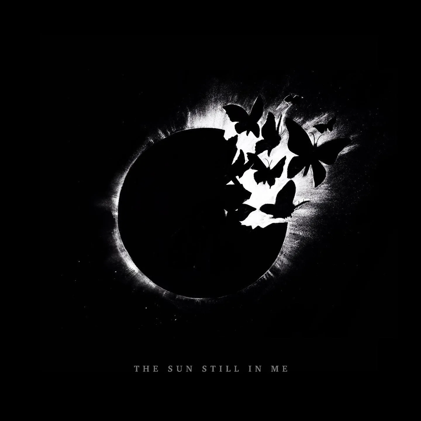 The Sun Still in Me cover