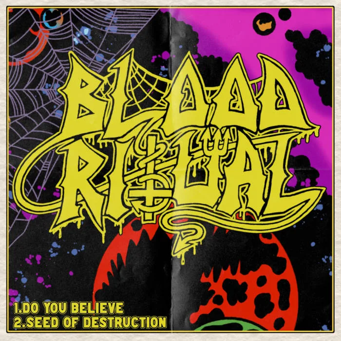 Do You Believe (Promo) cover