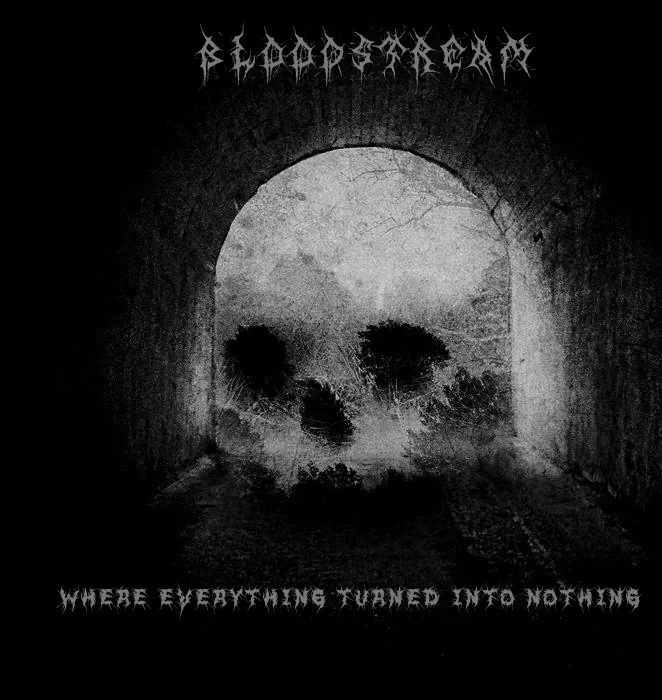 Where Everything Turned into Nothing cover