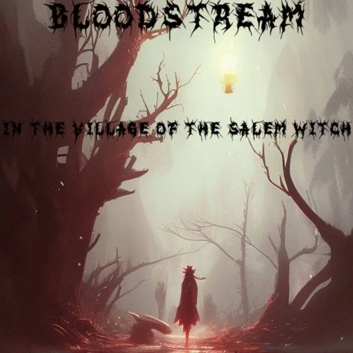 In the Village of the Salem Witch cover