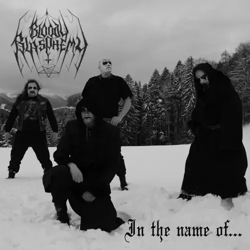 In the Name of... cover