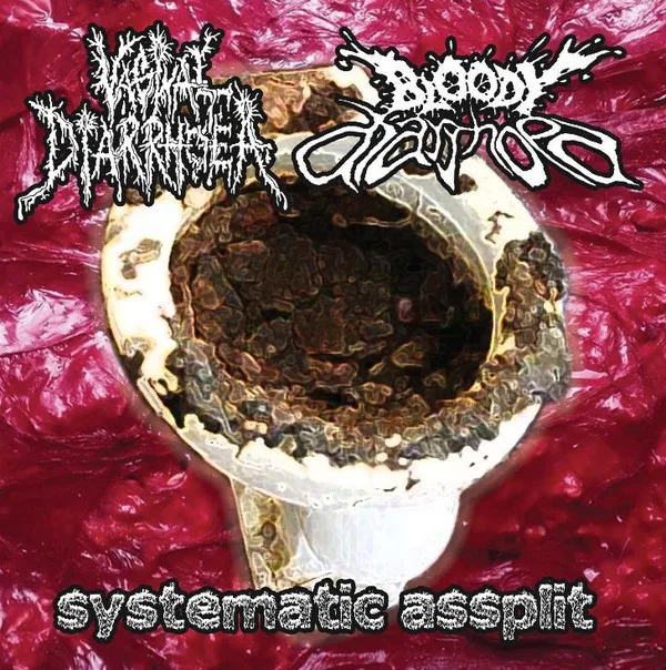 Systematic Assplit cover