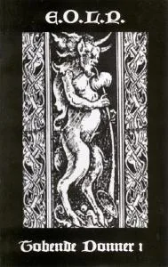 Tobende Donner 1 cover