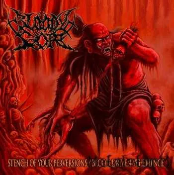 Stench of Your Perversions / Blood Driven Vehemence cover