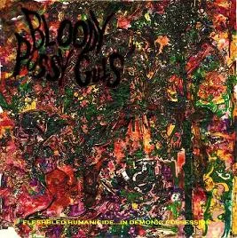 Fleshbled Humanicide...In Demonic Possession cover