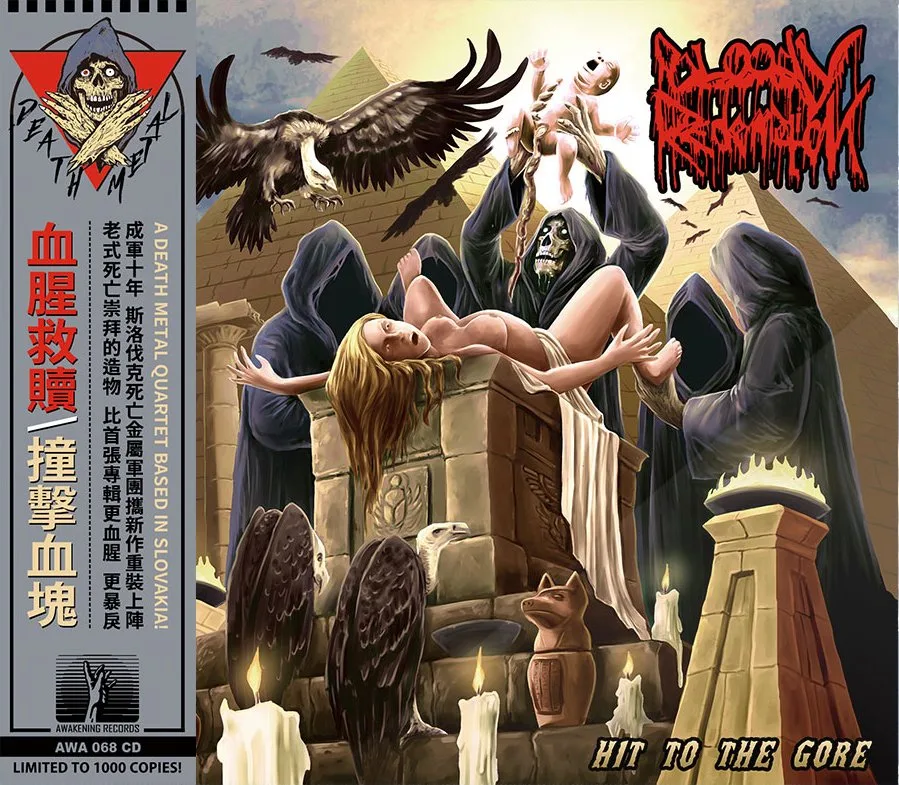 Hit to the Gore cover