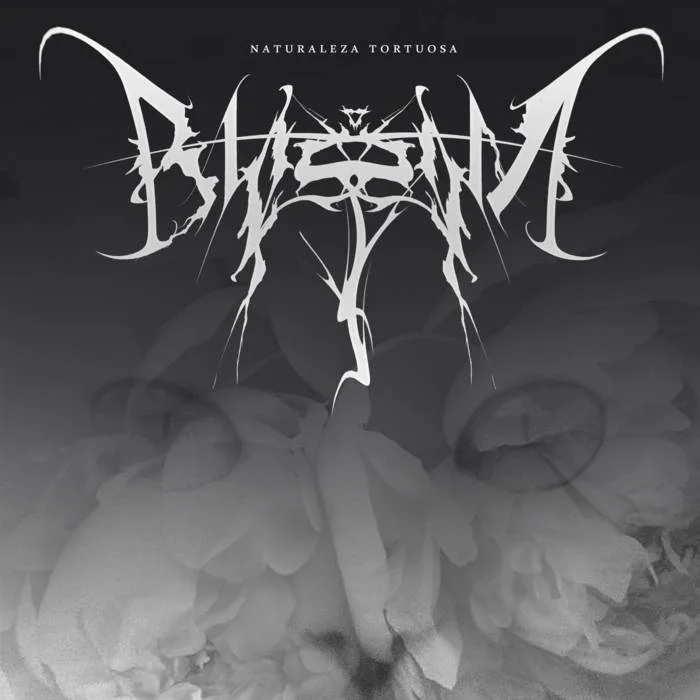 Naturaleza tortuosa cover