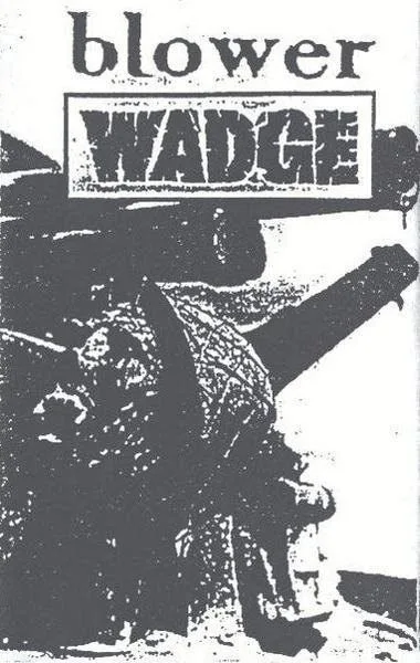 Blower / Wadge cover