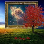 The Orange Tree cover
