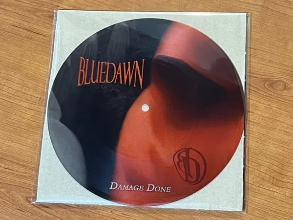 Damage Done (single edit) cover