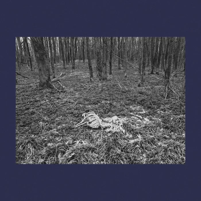 Everyone Goes Away Eventually cover