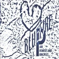 Pain, Promises and Principles cover