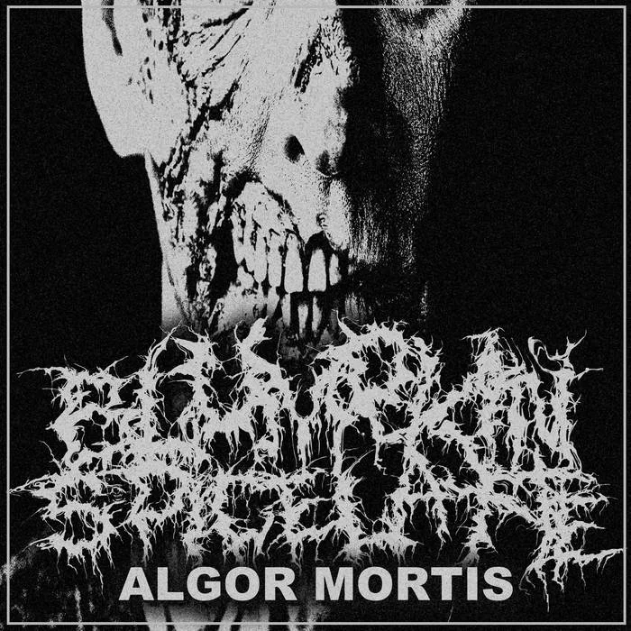 Algor Mortis cover