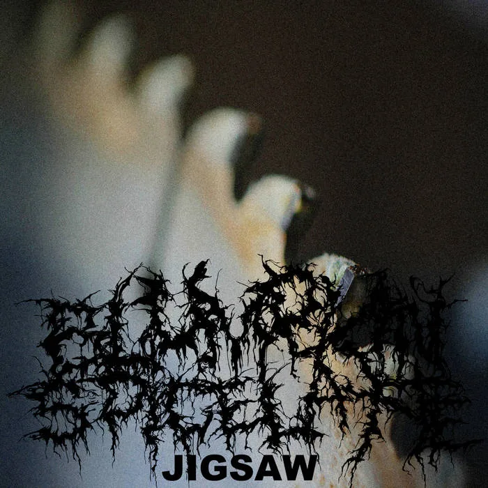 Jigsaw cover