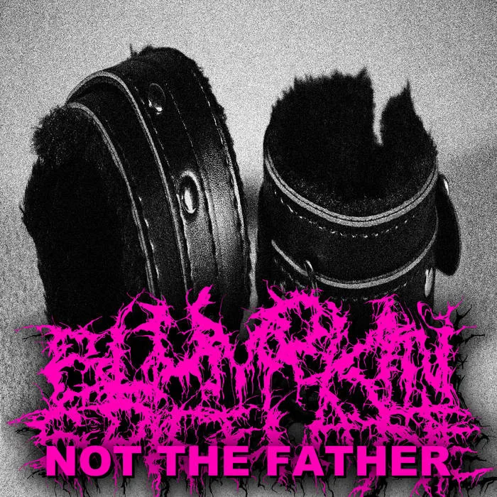 Not The Father cover