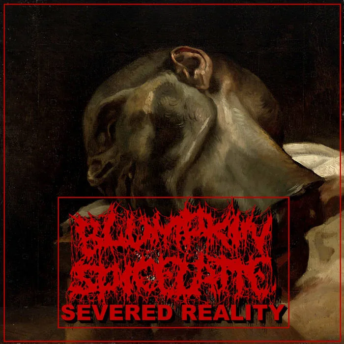 Severed Reality cover