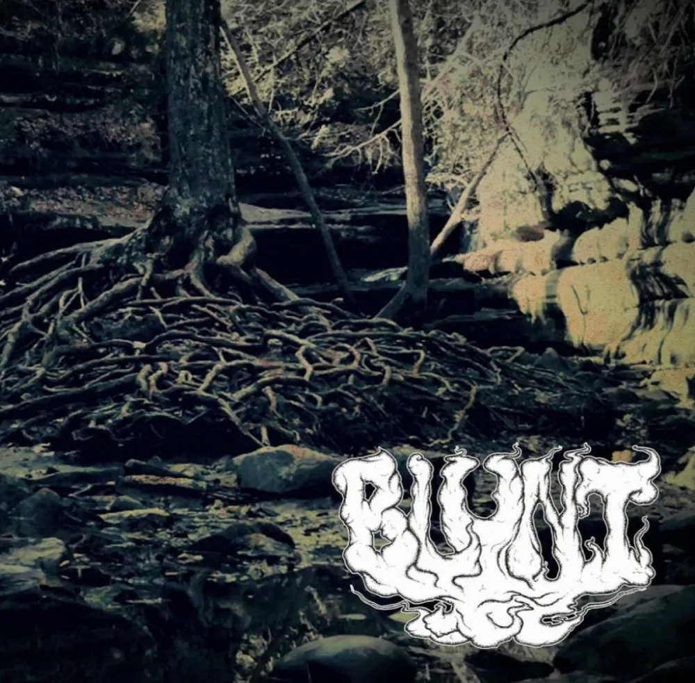 State of Desolation cover