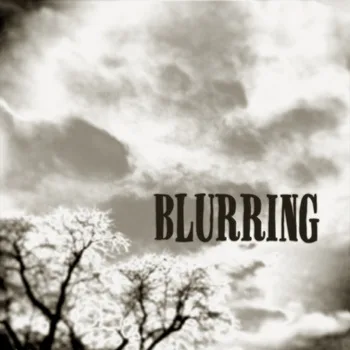 Blurring cover