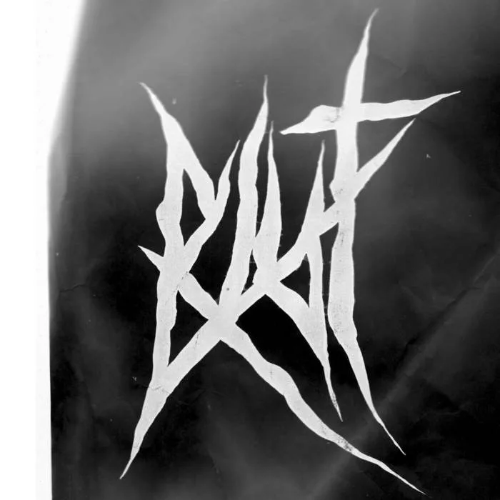 Feindin Irdischer Fehle cover