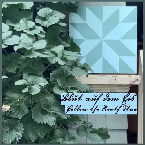 Follow the North Star cover