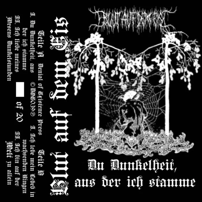 Du Dunkelheit, aus der ich stamme cover