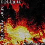 Burning Trees cover