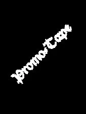 Inoffizielles Promo Tape cover